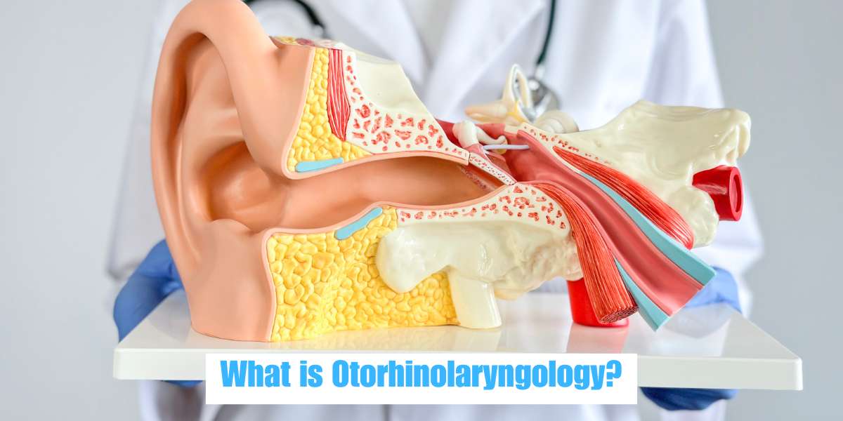 What is Otorhinolaryngology?